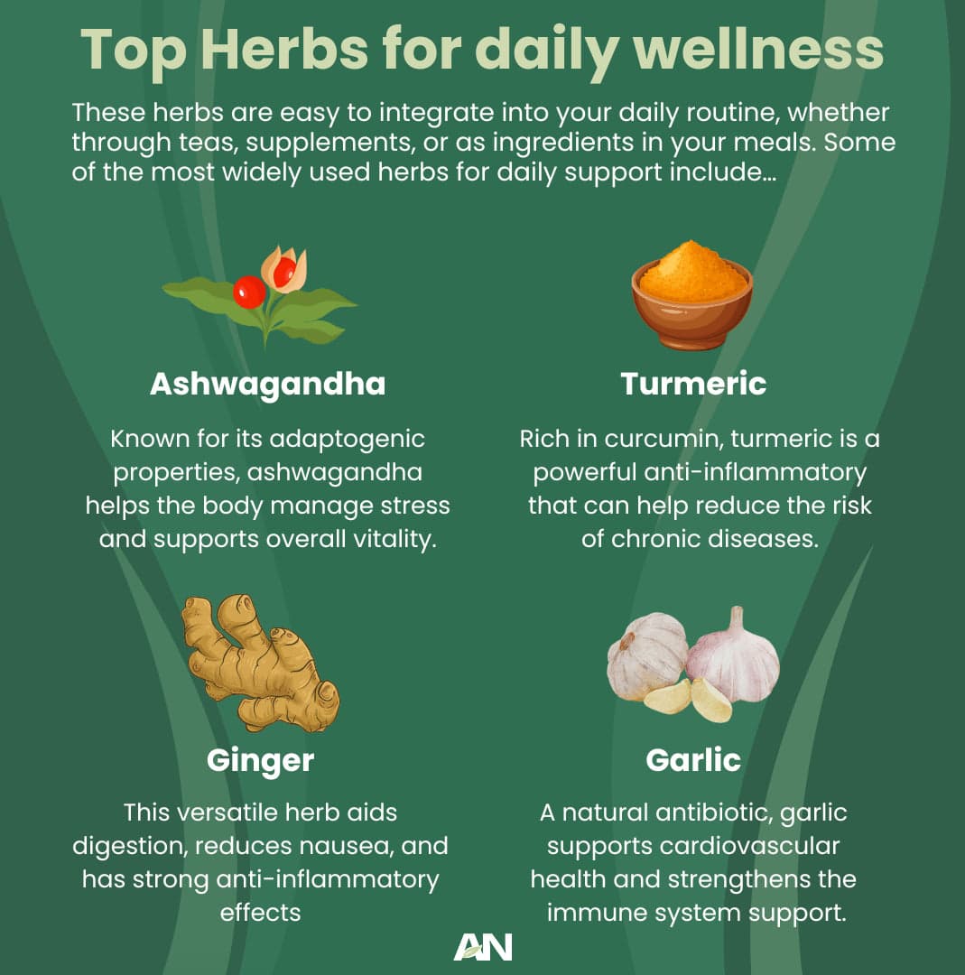 Pharmaceutical - Daily Herbs for Wellness