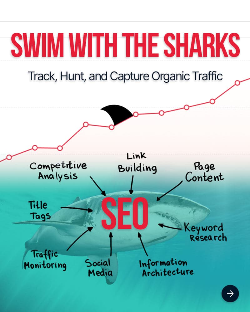 Swim With the Sharks SEO