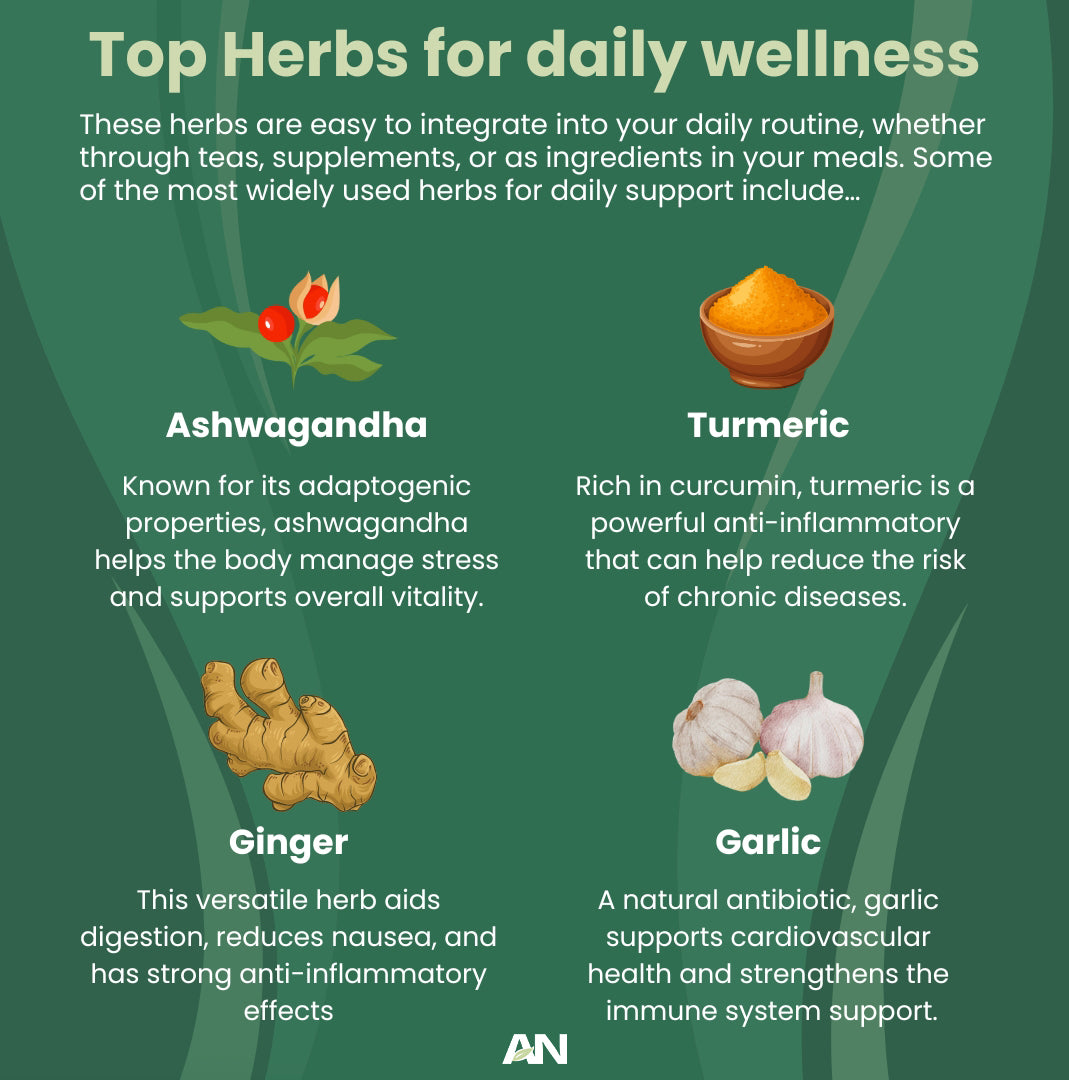 Pharmaceutical - Daily Herbs for Wellness