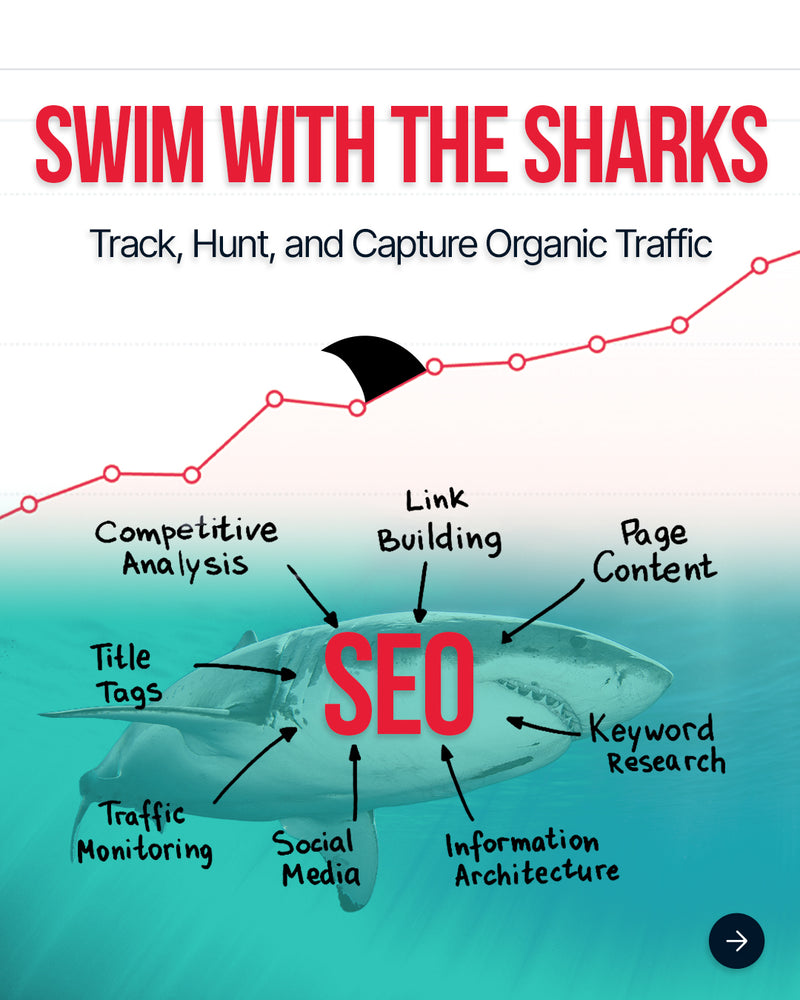 Swim With the Sharks SEO